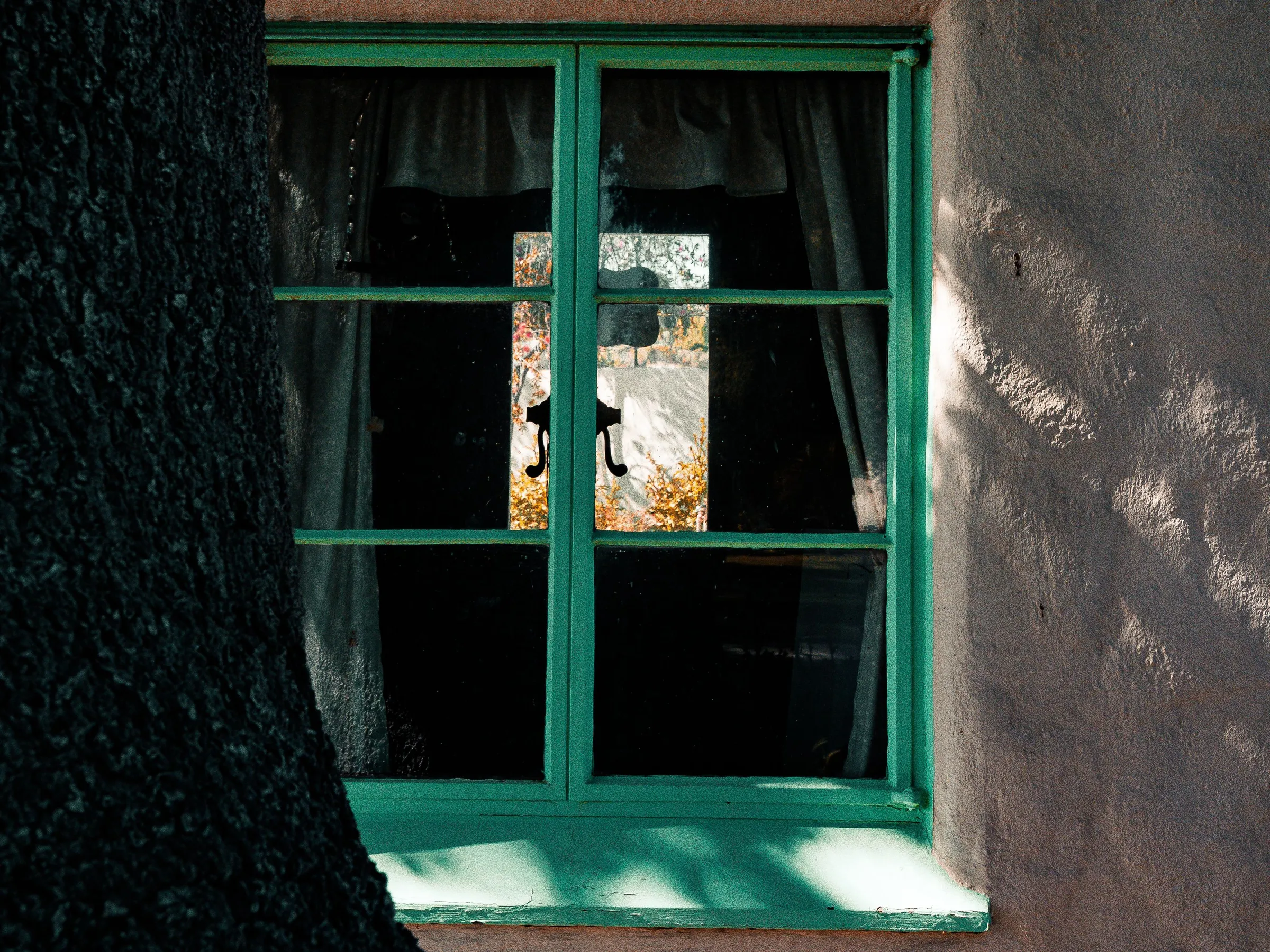 Stock photo: a green-framed window set in a textured, light-colored stucco wall, with a tree trunk in the foreground.